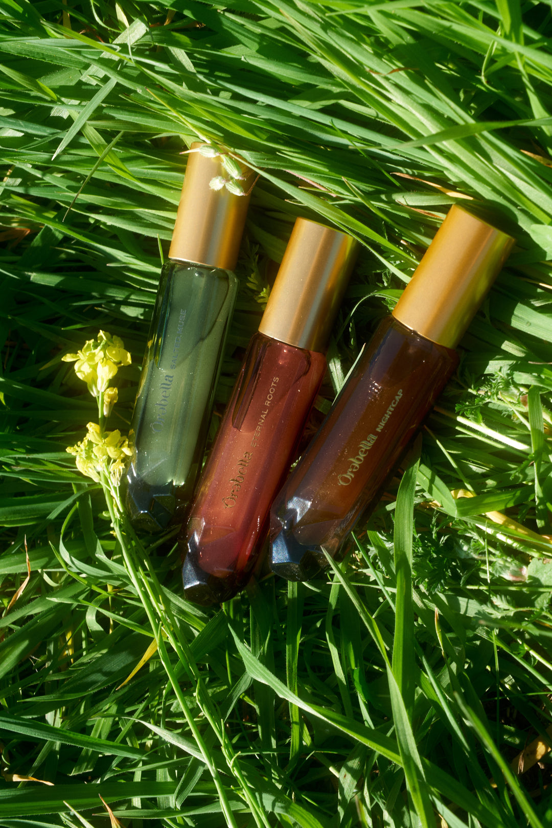 Salted Muse Parfum – The Mayfair Group LLC